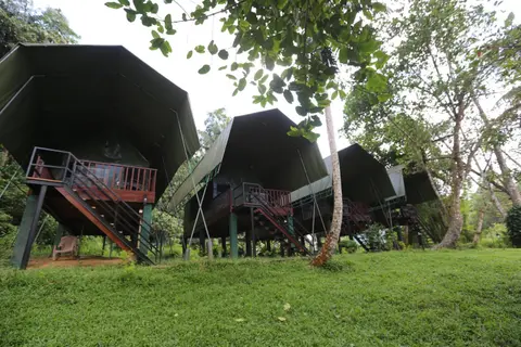 360 Rainforest