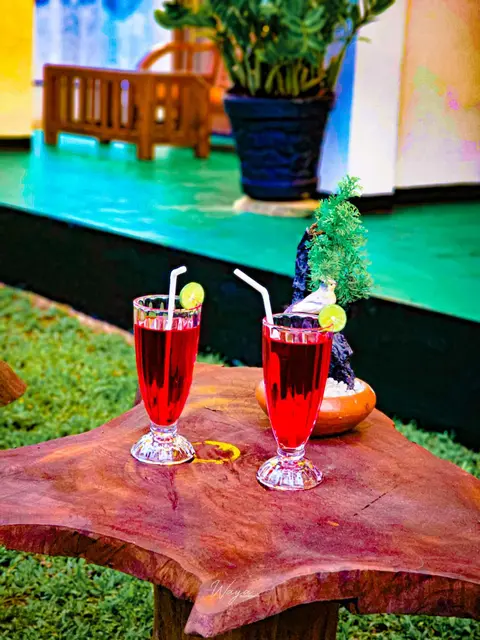 Elite Safari Resort