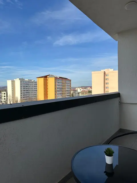 Nedelcu Luxury Apartment
