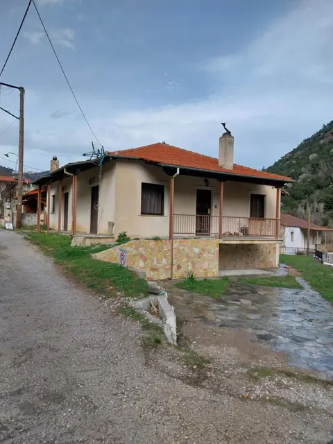 House Zachlorou 11