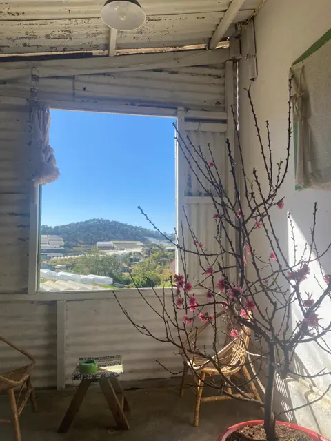 Nguyên căn Homestay view nhà lồng
