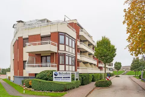 Belvedere Strandrose