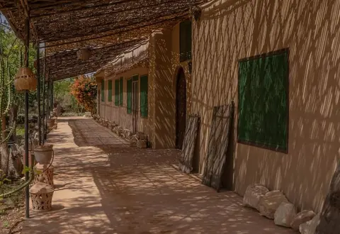 Riad Elaissi
