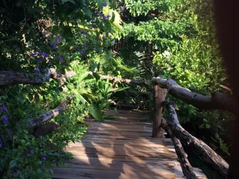 Tree Top Eco-Lodge