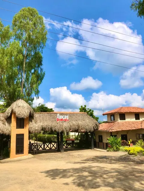 Fincas Panaca Herreria 26