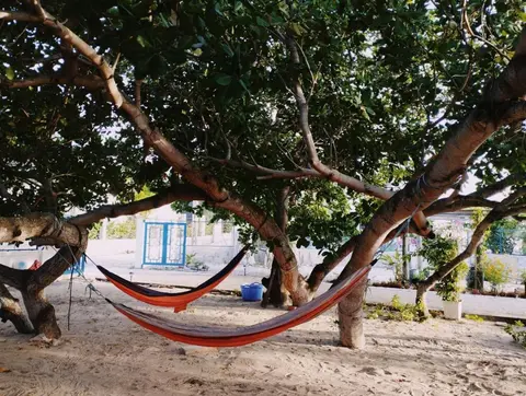 Mơ Homestay Kê Gà (Mer Bleue Homestay)
