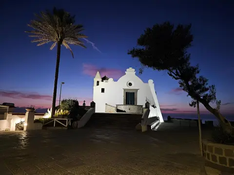 domus Verde