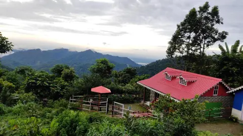 TASHI LITTLE HILL