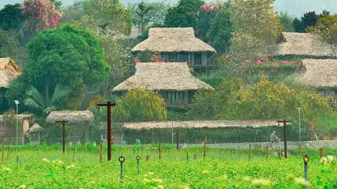 Mai Chau Ecolodge
