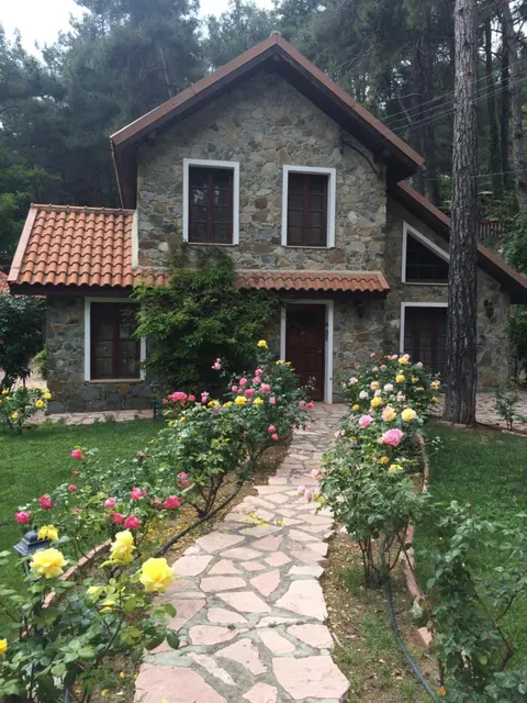Rose Garden Platres