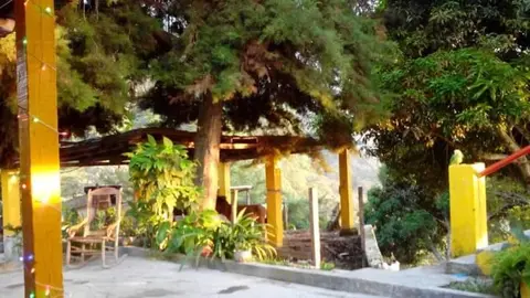 Vereda MN