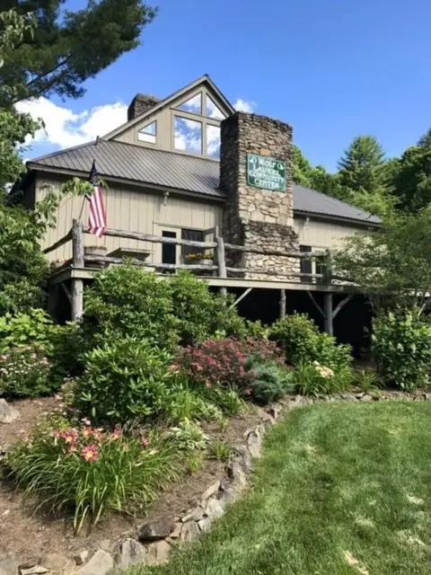 Wolf Laurel Bee Mountain Retreat - Pet Friendly