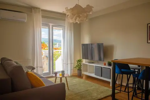 Cozy Pet Friendly Apartment