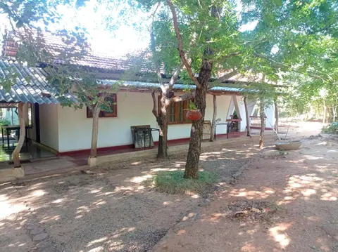Bundala Resort
