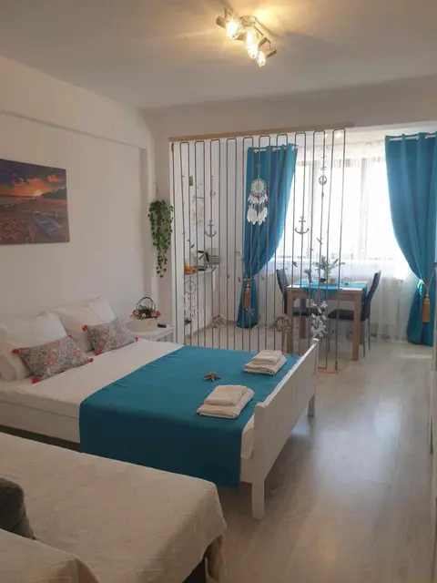 Studio "Visul Carolinei"