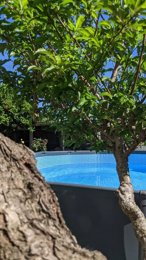 Casa e piscina Alojamento da Avó Rosa