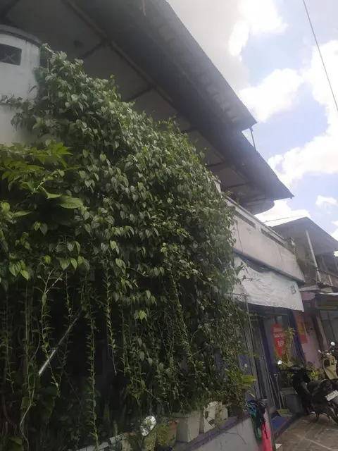 TOKO UNGU GUESTHOUSE
