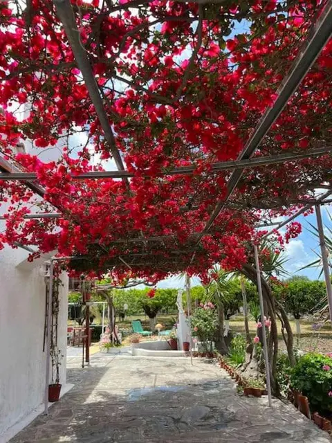 ktima_countryliving