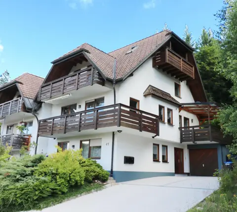 Feriendomizil am Rössleberg, Hinterzarten