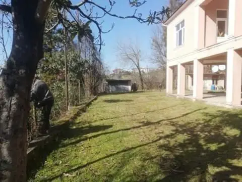 Eco-Kvirike