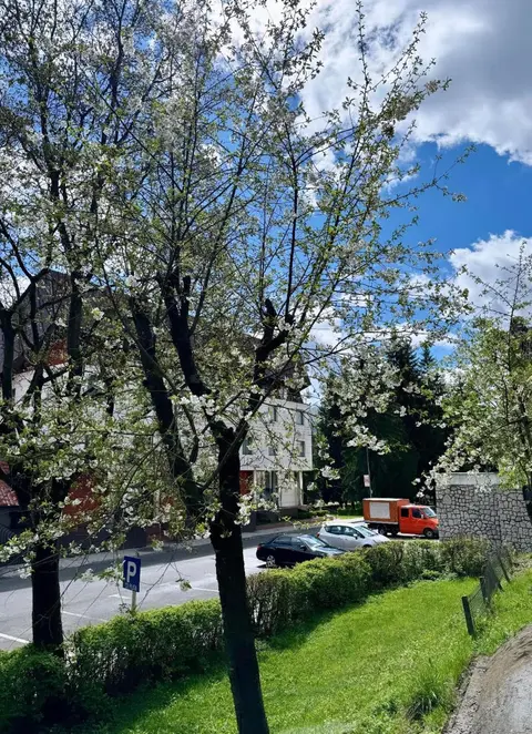 LV Luxury Apart - One minute away from train station