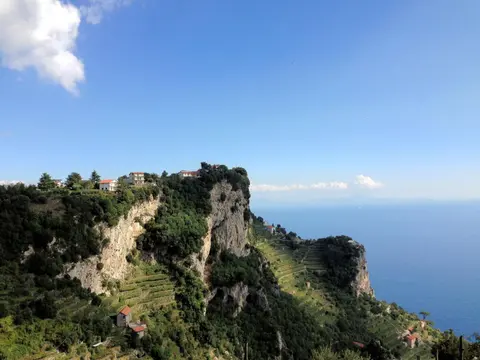 RADICI