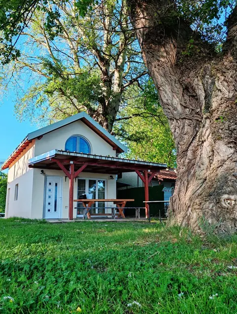 Dadula na Dunavu