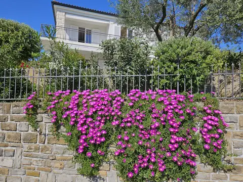 Apartment Solare
