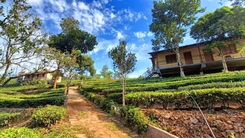 Heritage Farm Idukki