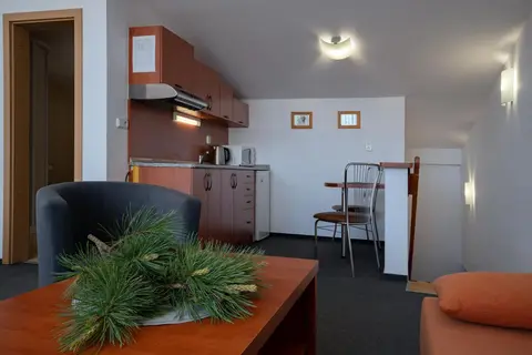 Štúdiá Správa TANAPu