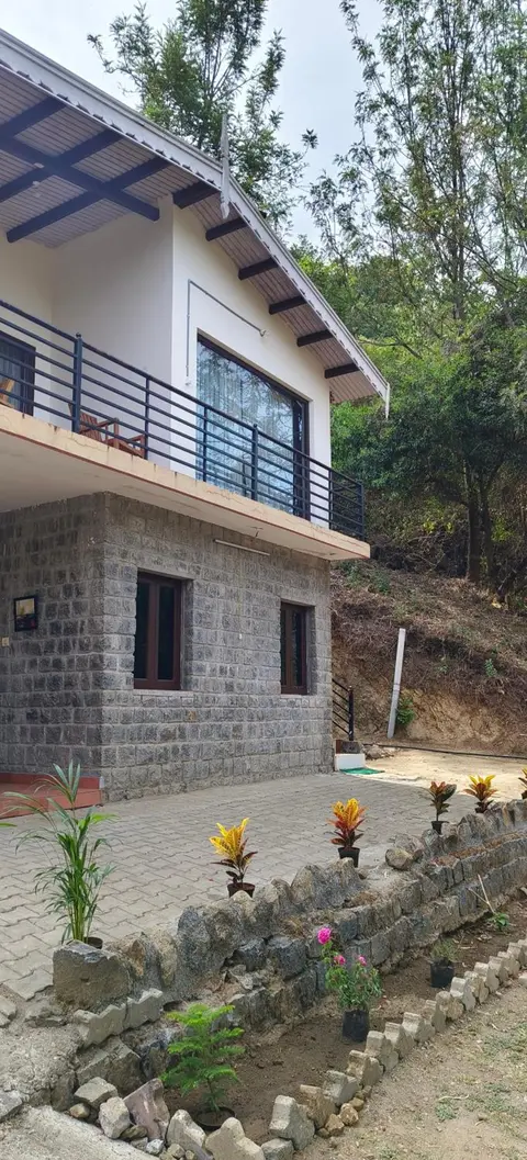 Deep Jungle Stays