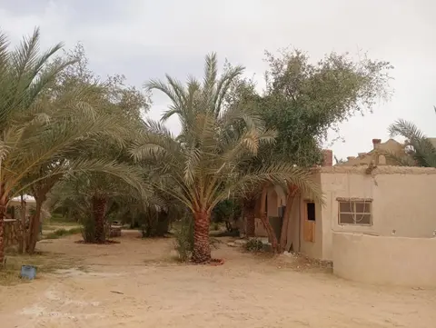 Paradise Gates Siwa