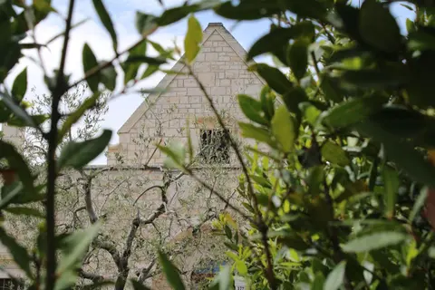 La Cummersa all'ombra dell'Ulivo