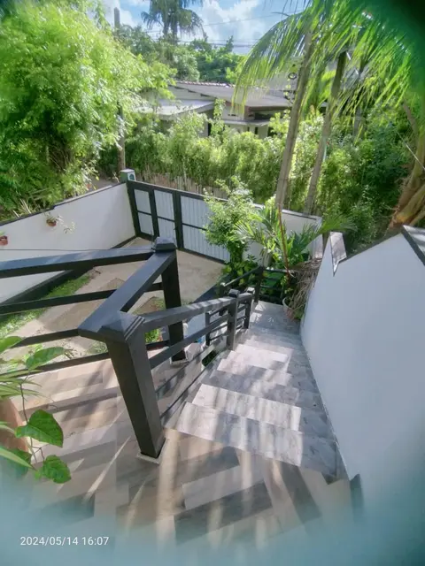Coconut tree villa