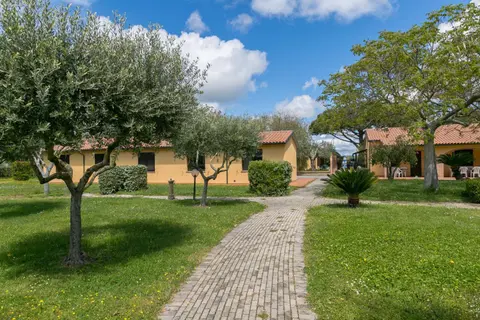 Il Girasole - Uva