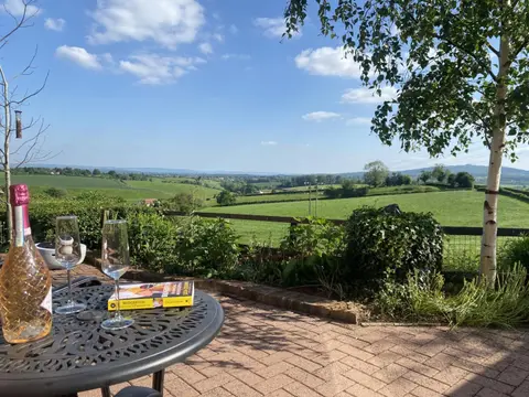 Betula Views