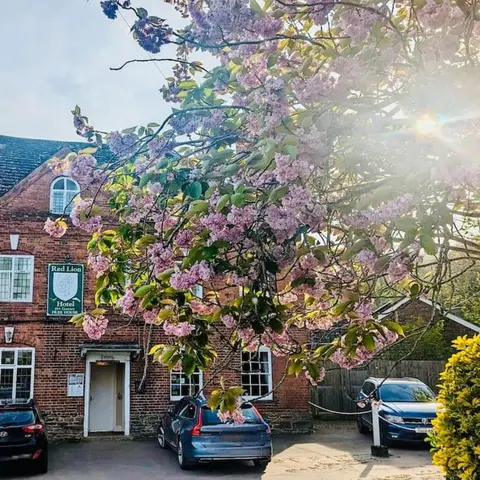 The Guest House near Hay on Wye