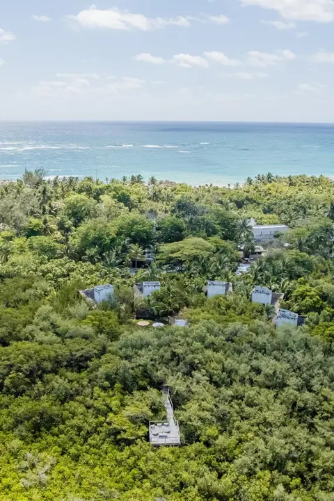 Vida Silvestre Tulum