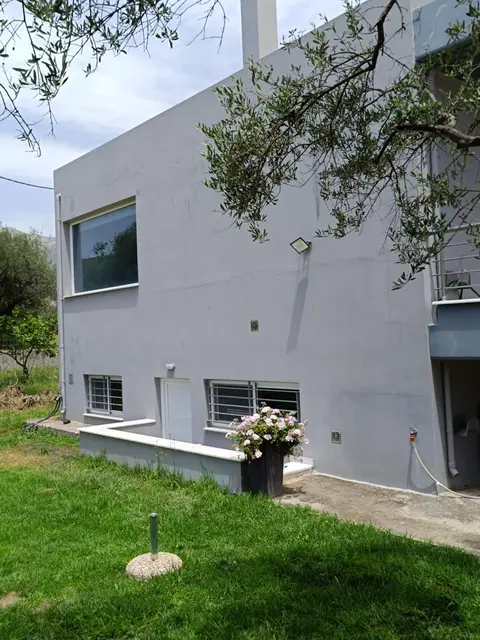 Olive tree House