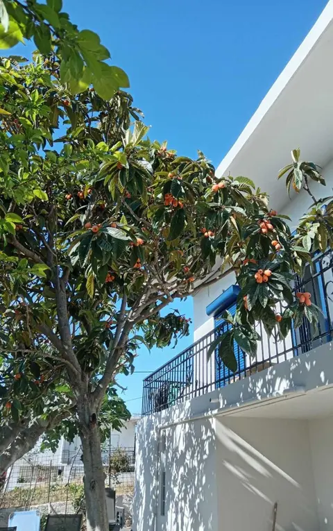 Seaview Vravrona