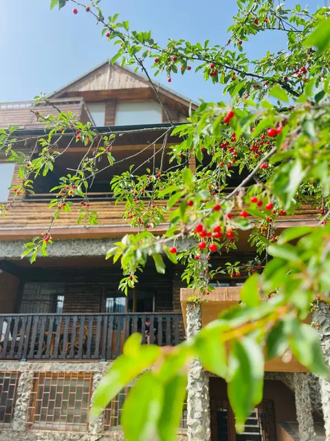 Cabana Colibița 2C1G