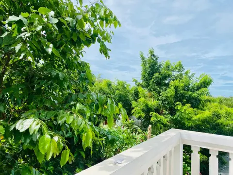 Rice River Villa - Hoi An
