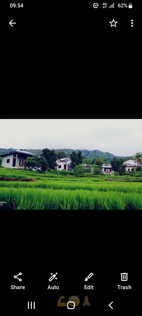 Shila Bungalow