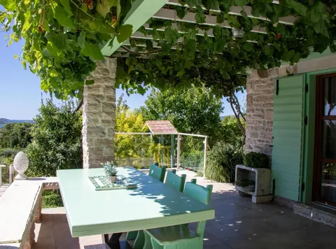 Authentic Dalmatian Treasure Homes