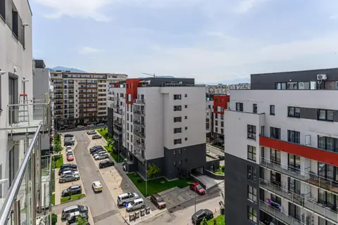 Evergreen Escape Apartment Coresi