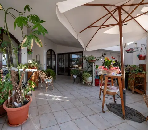 Dolfi Grand Loft