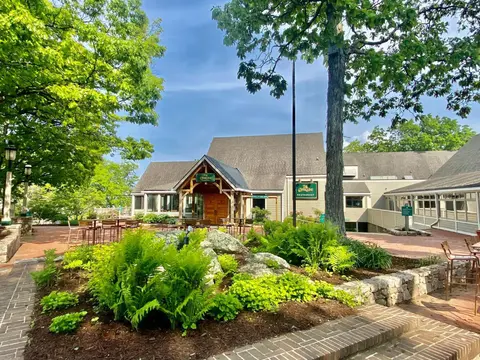 Ski-inski-out, Pet-ok Condo, Walk To Wintergreen