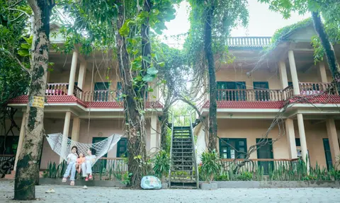 Wild Horizons Guest House