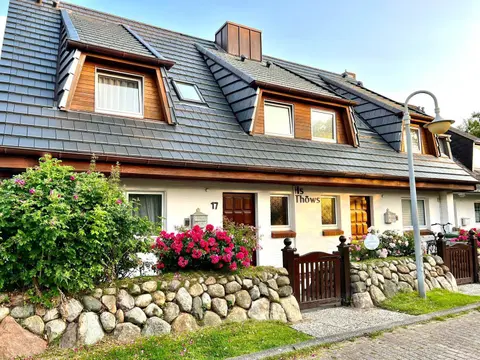 Strandnelke