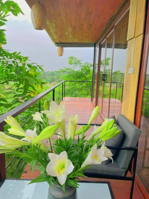 Đồi Gió Retreat